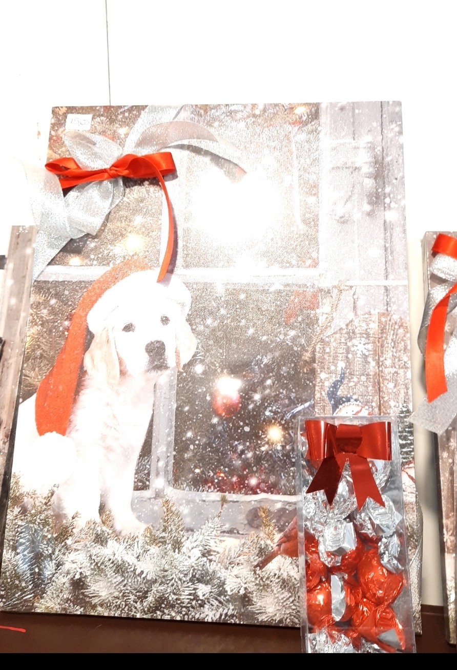 Quadro natalizio cane con luci led e cioccolatini