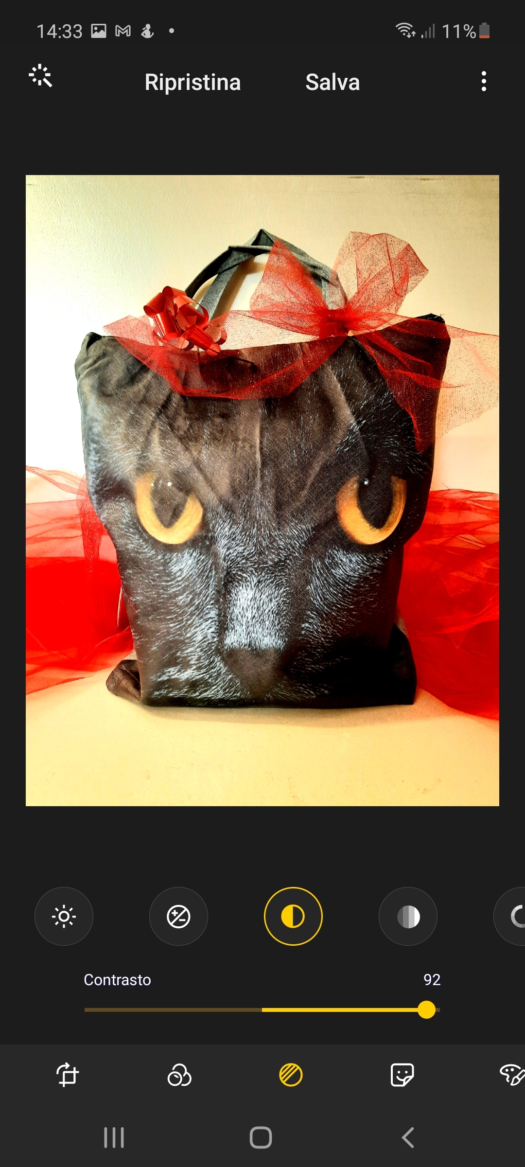 Borsa gatto nero con interno prodotti natalizi